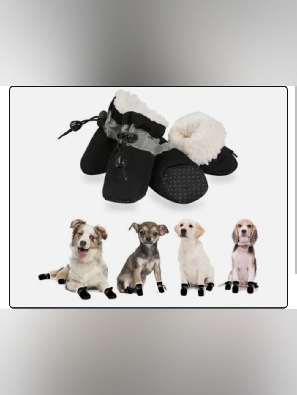 Dog 🐶 Shoes for Small Dogs, Puppy Boots